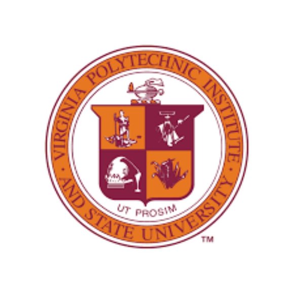 Virginia Tech Hokies Squeaker Sneaker (Toddler) 👞 - Picture 5 of 16